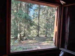 Prodej chaty, Borová, 53 m2