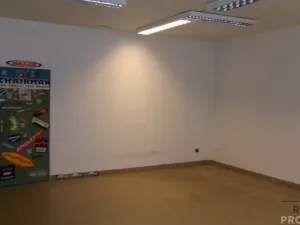 Prodej obchodního prostoru, Brno, Vodní, 400 m2