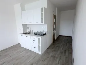 Prodej bytu 1+1, Ústí nad Labem - Neštěmice, Sibiřská, 42 m2