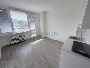 Prodej bytu 1+1, Ústí nad Labem - Neštěmice, Sibiřská, 42 m2