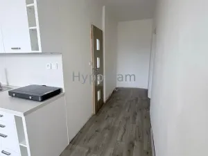 Prodej bytu 1+1, Ústí nad Labem - Neštěmice, Sibiřská, 42 m2
