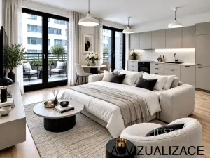 Pronájem bytu 1+kk, Praha - Žižkov, Budovcova, 35 m2