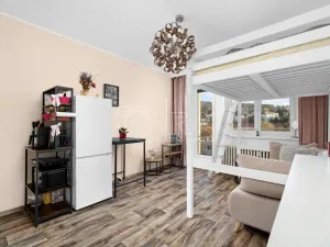 Prodej bytu 1+kk, Zlín, Ševcovská, 34 m2