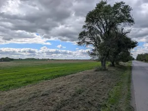 Prodej komerčního pozemku, Chýně, 3825 m2