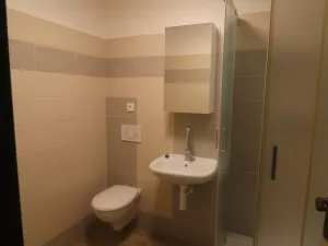 Pronájem bytu 2+1, Děčín - Děčín IV-Podmokly, Mírové nám., 79 m2