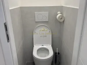 Prodej bytu 1+1, Praha - Hloubětín, Poděbradská, 35 m2