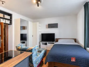 Prodej bytu 1+kk, Praha - Vinohrady, Na Folimance, 28 m2