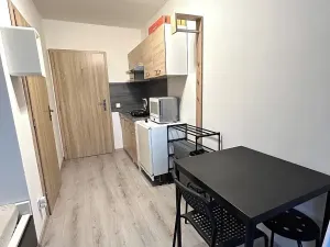 Pronájem bytu 1+kk, Praha - Černý Most, Bratří Venclíků, 18 m2