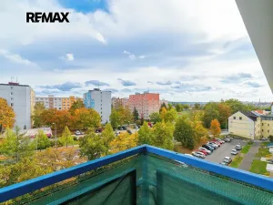 Prodej bytu 1+1, Plzeň, Revoluční, 40 m2