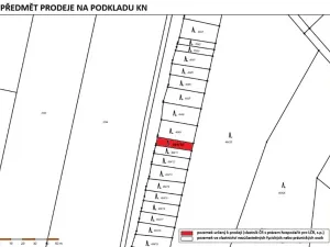 Prodej lesa, Radkovice u Budče, 204 m2