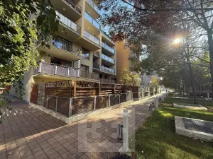 Pronájem bytu 2+kk, Praha - Holešovice, Varhulíkové, 63 m2