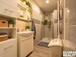 Prodej vícegeneračního domu, Děčín, U Školy, 397 m2