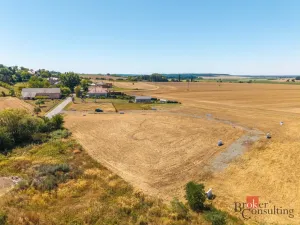 Prodej pozemku pro bydlení, Dolní Přím - Probluz, 902 m2