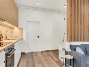 Prodej ubytování, Praha, Soběslavská, 30 m2