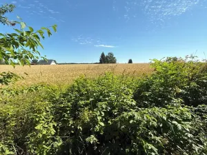 Prodej chaty, Borová, 53 m2