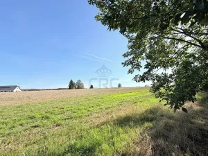 Prodej chaty, Borová, 53 m2