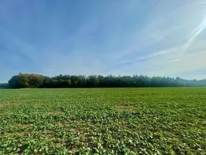 Prodej pole, Praha - Liboc, Na Padesátníku I, 24066 m2