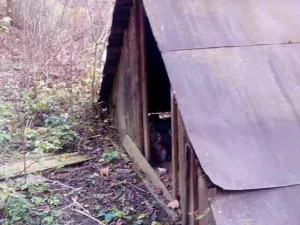 Dražba - jiné, Brumov-Bylnice, 29 m2