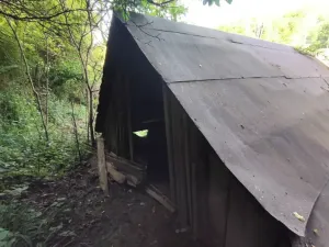Dražba - jiné, Brumov-Bylnice, 29 m2