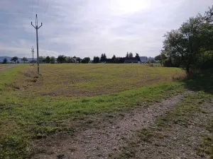 Dražba pozemku pro bydlení, Vrbice, 9030 m2
