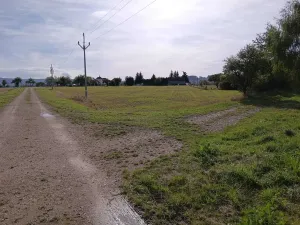 Dražba pozemku pro bydlení, Vrbice, 9030 m2