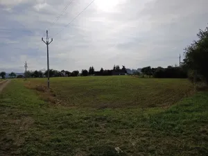 Dražba pozemku pro bydlení, Vrbice, 9030 m2