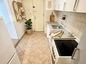Pronájem bytu 1+kk, Praha - Vinohrady, Polská, 53 m2