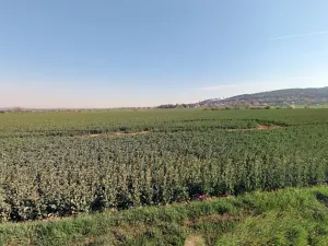 Prodej podílu pozemku pro bydlení, Martinice, 1521 m2