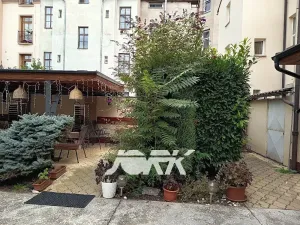 Pronájem obchodního prostoru, Pardubice, Smilova, 270 m2
