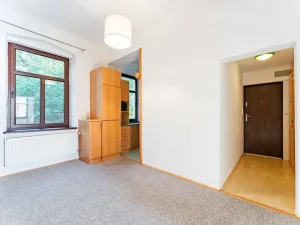 Pronájem bytu 1+1, Šumperk, Kozinova, 49 m2