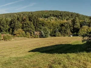Prodej pozemku pro bydlení, Stříbrná Skalice, 4259 m2