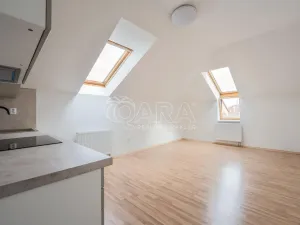 Pronájem bytu 1+kk, Písek - Václavské Předměstí, Hostivítova, 30 m2