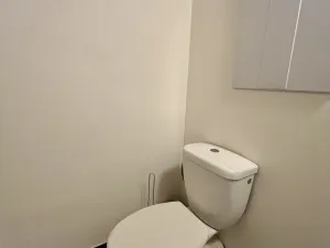 Pronájem bytu 1+1, Ostrava - Poruba, Polská, 30 m2