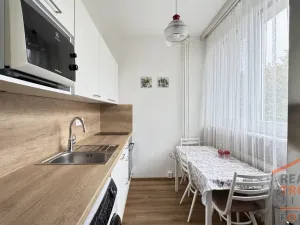 Prodej bytu 2+1, Brno, Slavíčkova, 50 m2