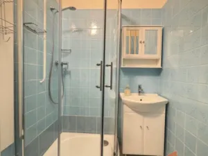 Prodej bytu 2+1, Brno, Slavíčkova, 50 m2