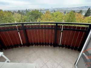 Prodej bytu 2+1, Brno, Slavíčkova, 50 m2
