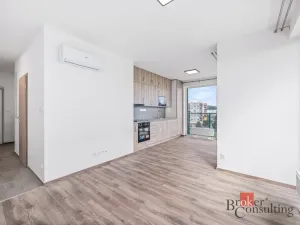 Pronájem bytu 2+kk, Plzeň - Bolevec, Krašovská, 47 m2