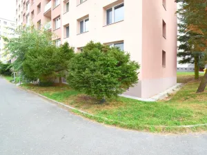 Prodej bytu 1+1, Plzeň - Bolevec, Žlutická, 39 m2