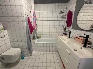 Pronájem bytu 3+1, Most, Růžová, 56 m2