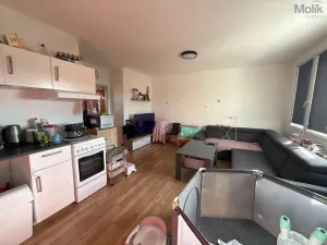 Pronájem bytu 3+1, Most, Růžová, 56 m2