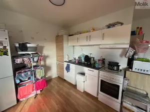 Pronájem bytu 3+1, Most, Růžová, 56 m2