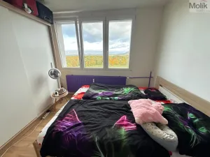 Pronájem bytu 3+1, Most, Růžová, 56 m2