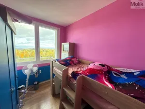 Pronájem bytu 3+1, Most, Růžová, 56 m2