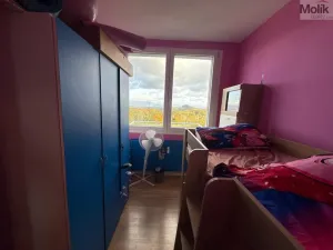 Pronájem bytu 3+1, Most, Růžová, 56 m2