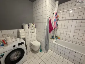 Prodej bytu 3+1, Most, Růžová, 56 m2