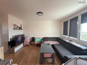 Prodej bytu 3+1, Most, Růžová, 56 m2