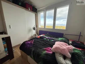 Prodej bytu 3+1, Most, Růžová, 56 m2
