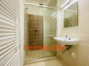 Pronájem bytu 3+1, Ostrava - Poruba, 17. listopadu, 77 m2