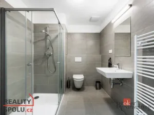 Prodej bytu 1+kk, Vyškov - Vyškov-Předměstí, Hybešova, 33 m2