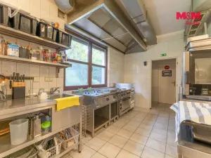 Prodej rodinného domu, Horní Slavkov, Ke Koupališti, 443 m2